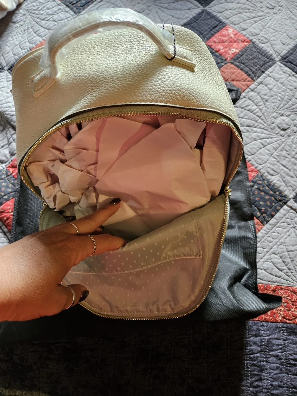Vanessa Williams Cream Backpack Purse New With Tags And Duster